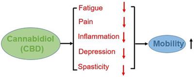 Cannabidiol to Improve Mobility in People with Multiple Sclerosis